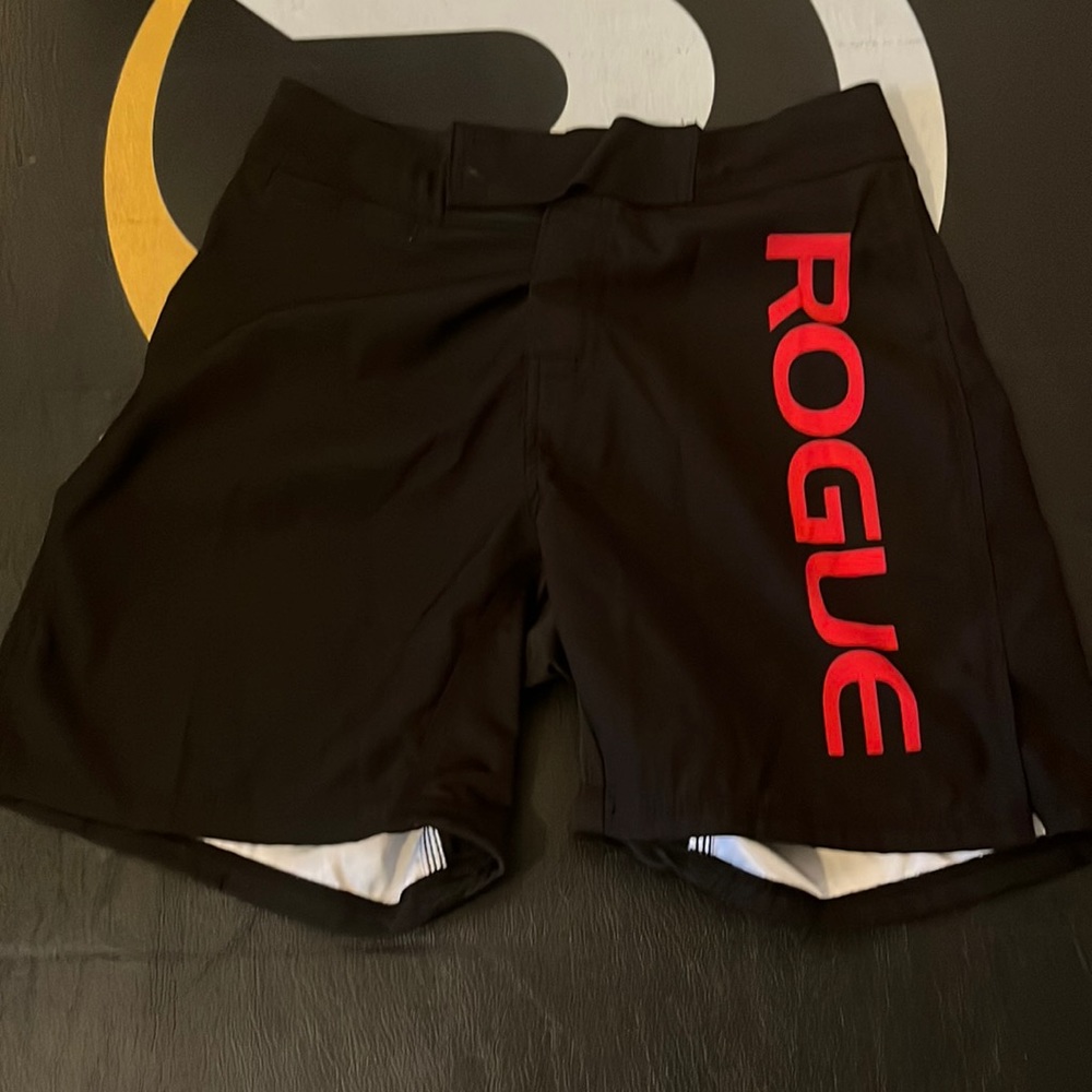 Rogue shorts 28